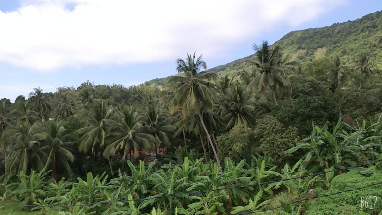 Homestay View Doi Hon Son Lai Son Exteriör bild
